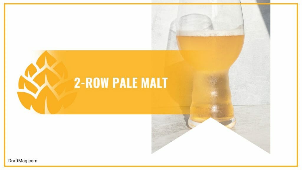 Beer Malt Types A Comprehensive Guide on the Roots of Beer