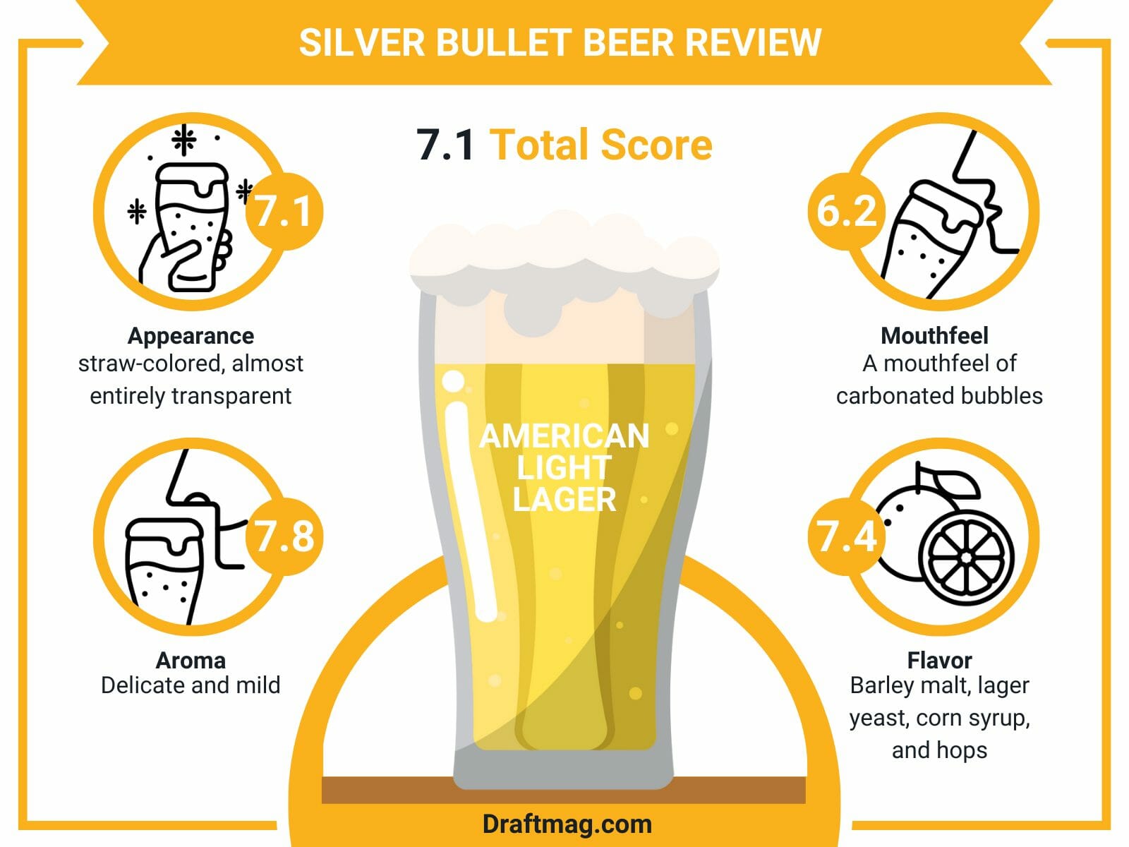 Silver bullet beer review infographic