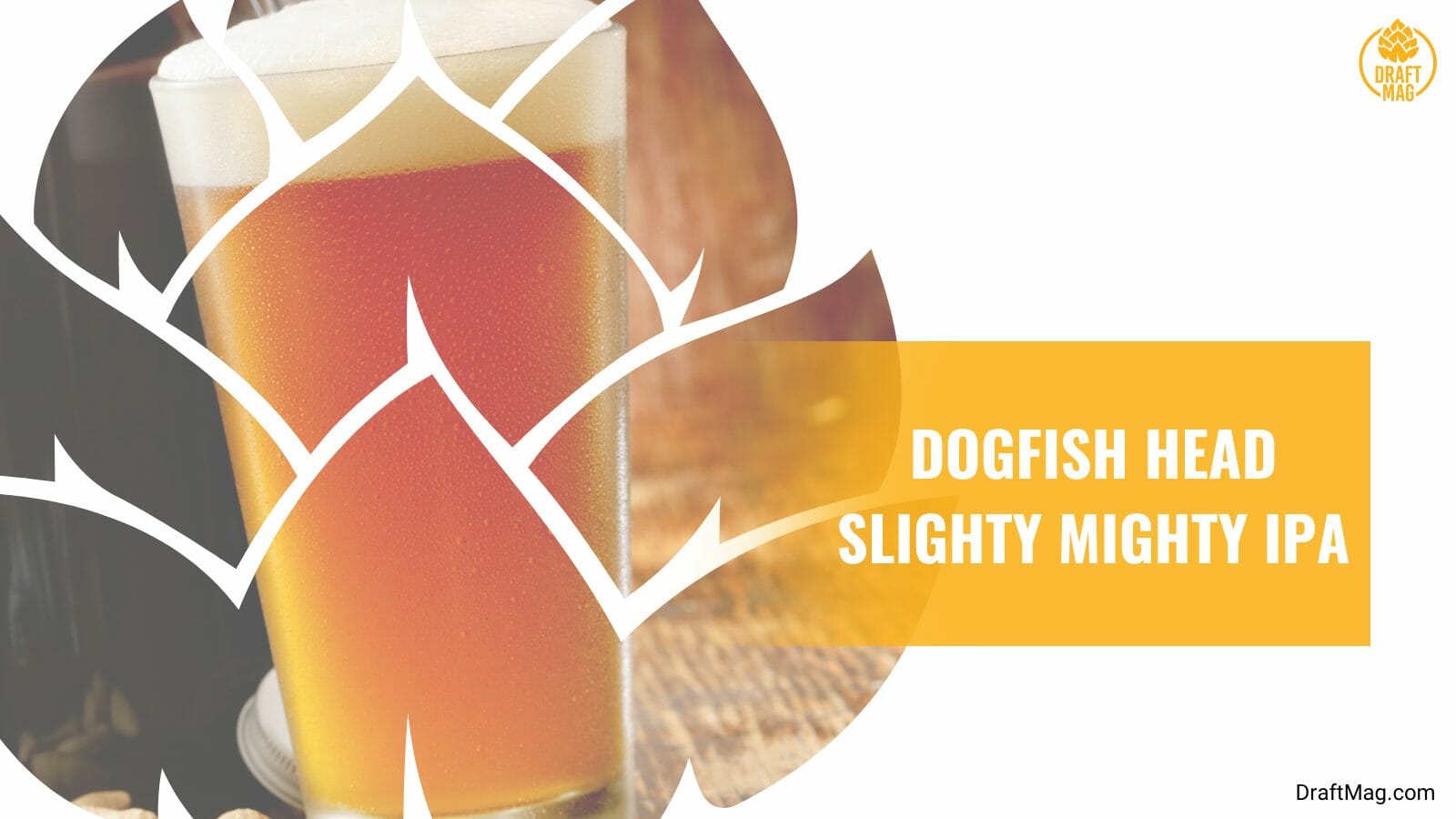 Slighty mighty ipa