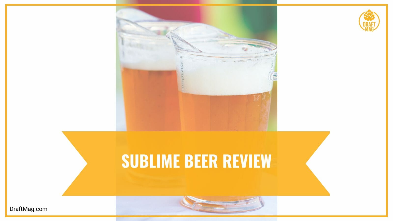 Sublime beer examination
