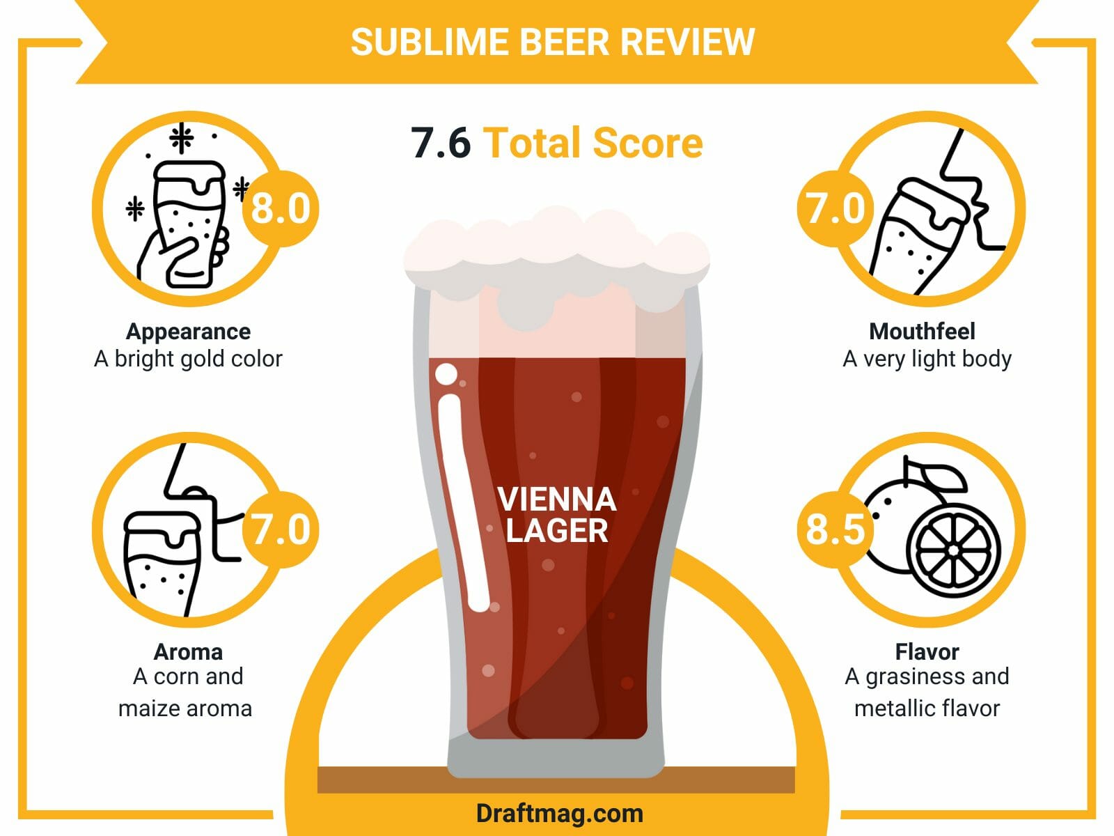 Sublime beer review infographic
