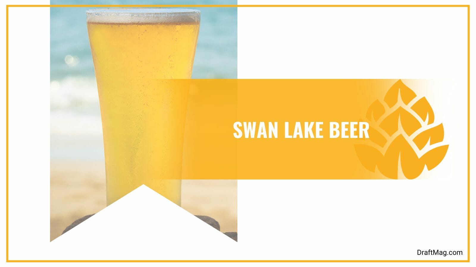 Swan lake beer