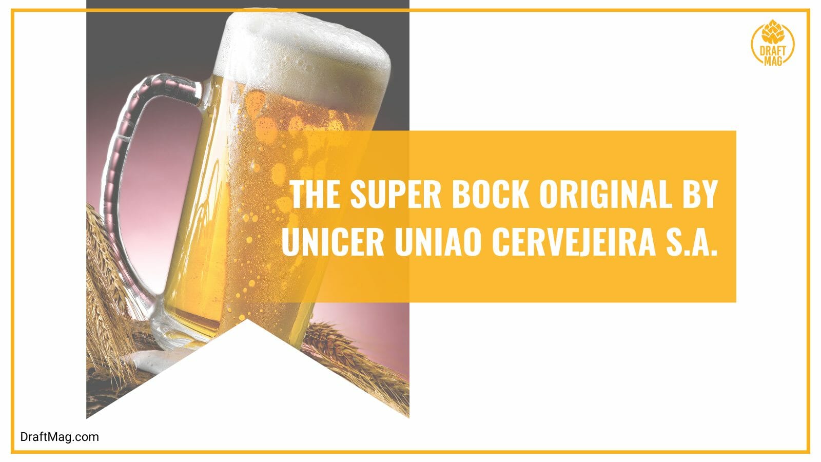 The super bock original