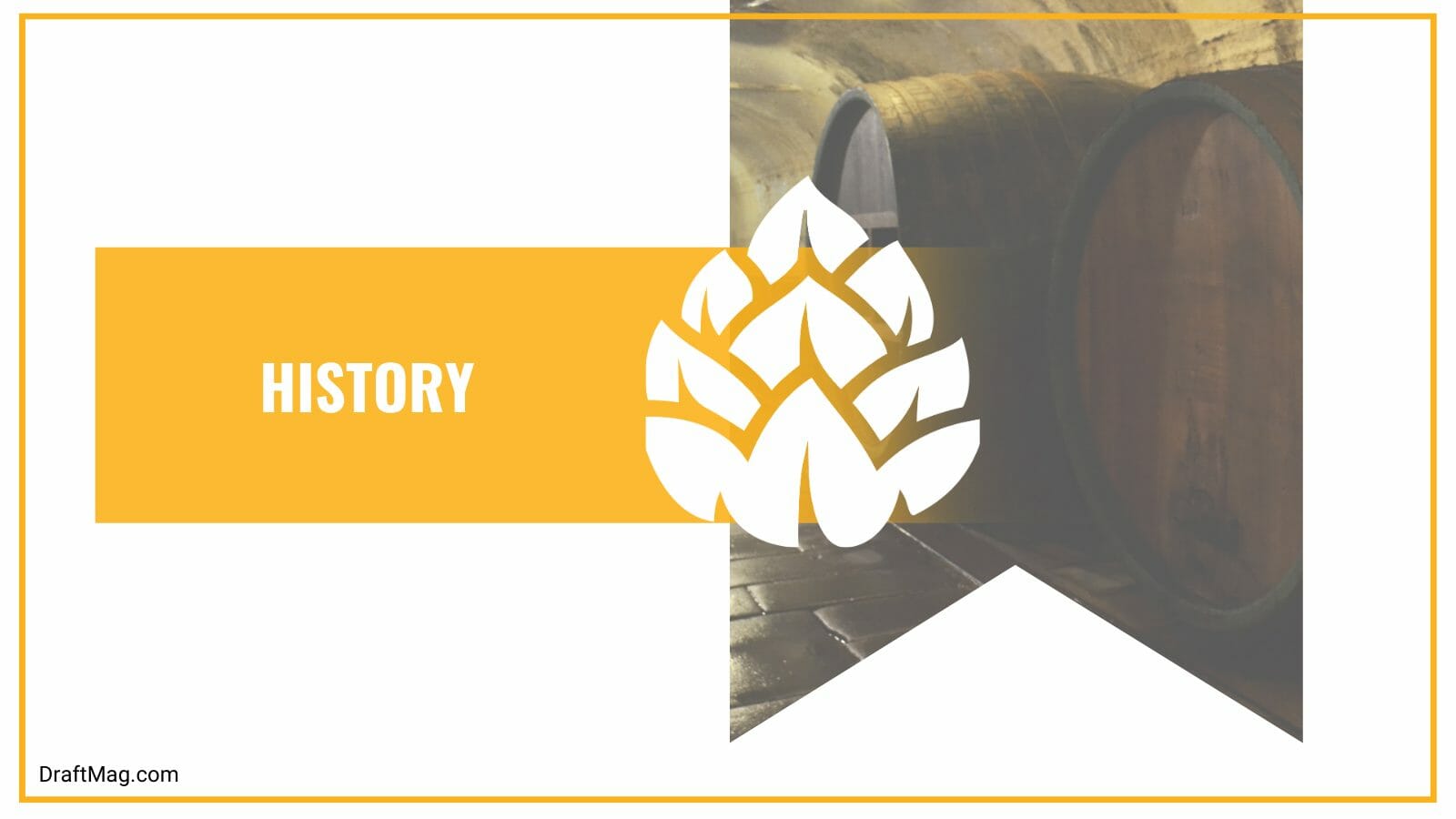 Thrilling history of medalla beer