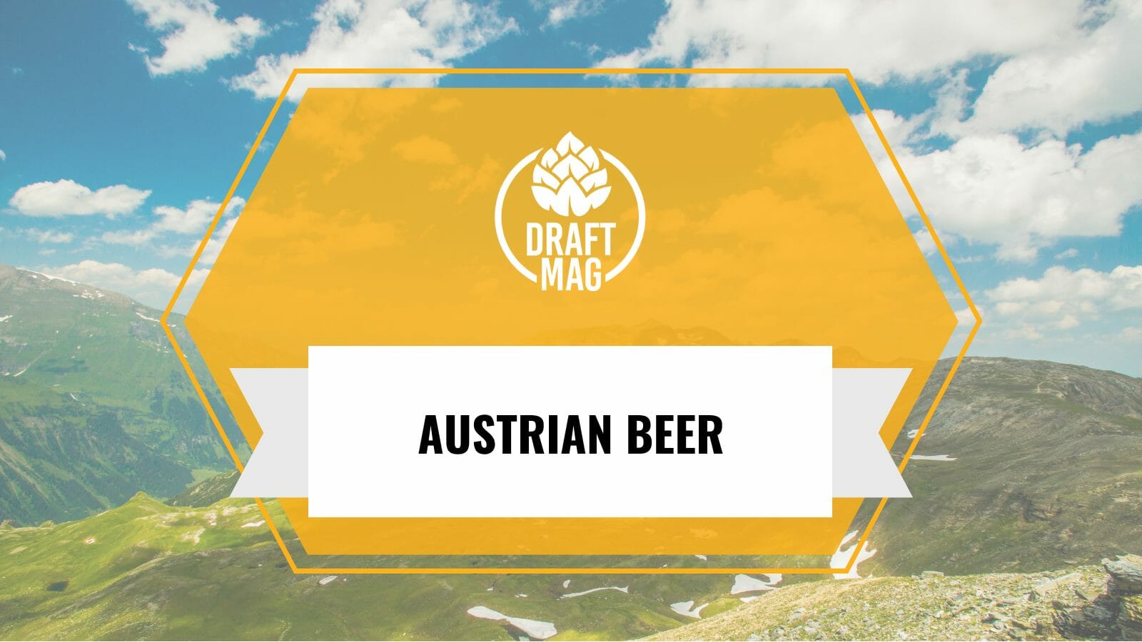 Top selling austrian beers