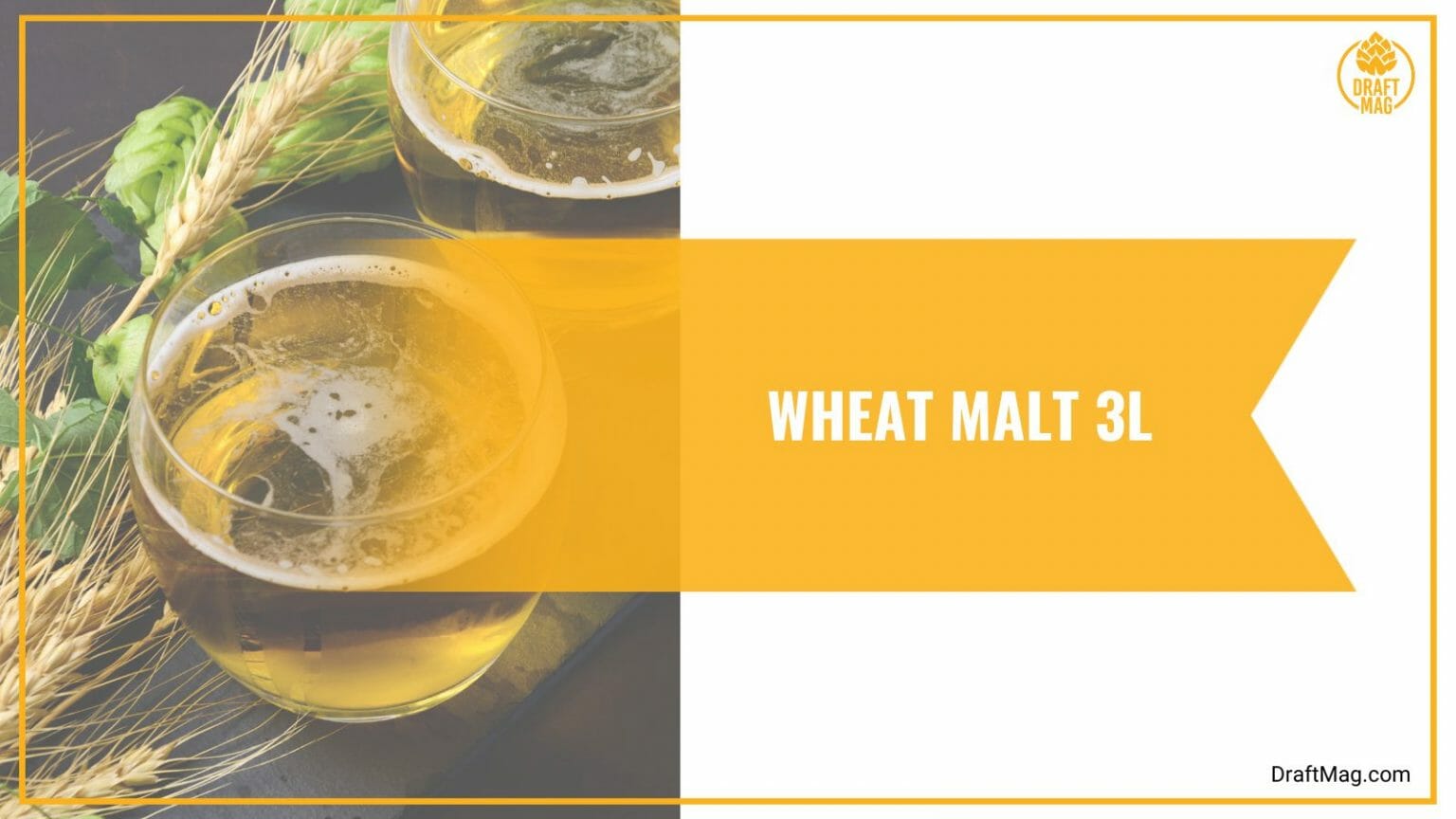 Beer Malt Types: A Comprehensive Guide On The Roots Of Beer