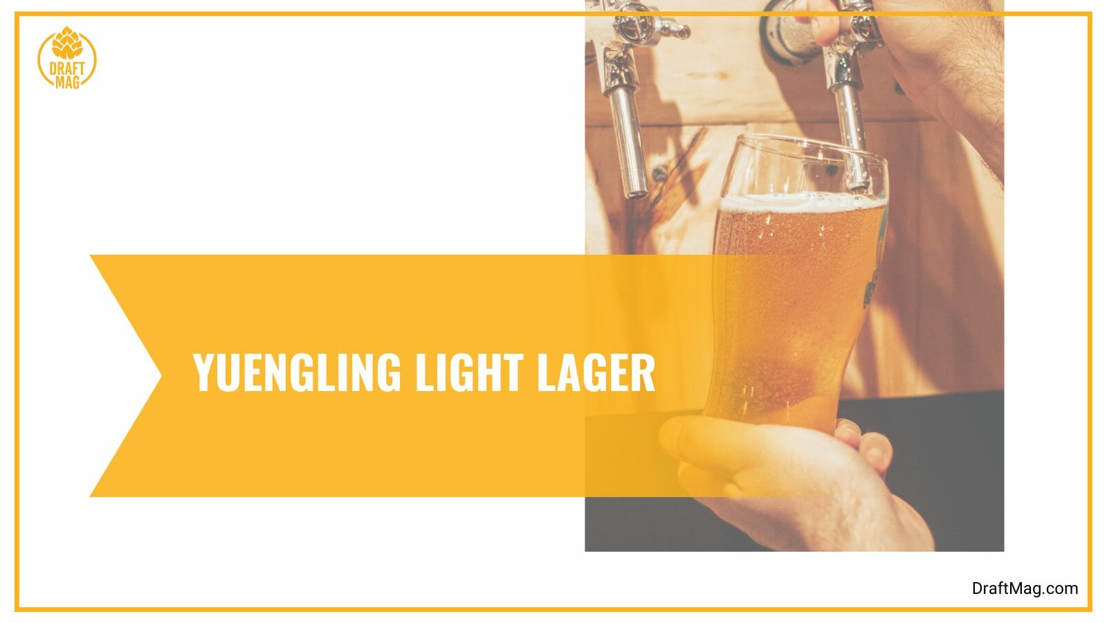 Yuengling light lager