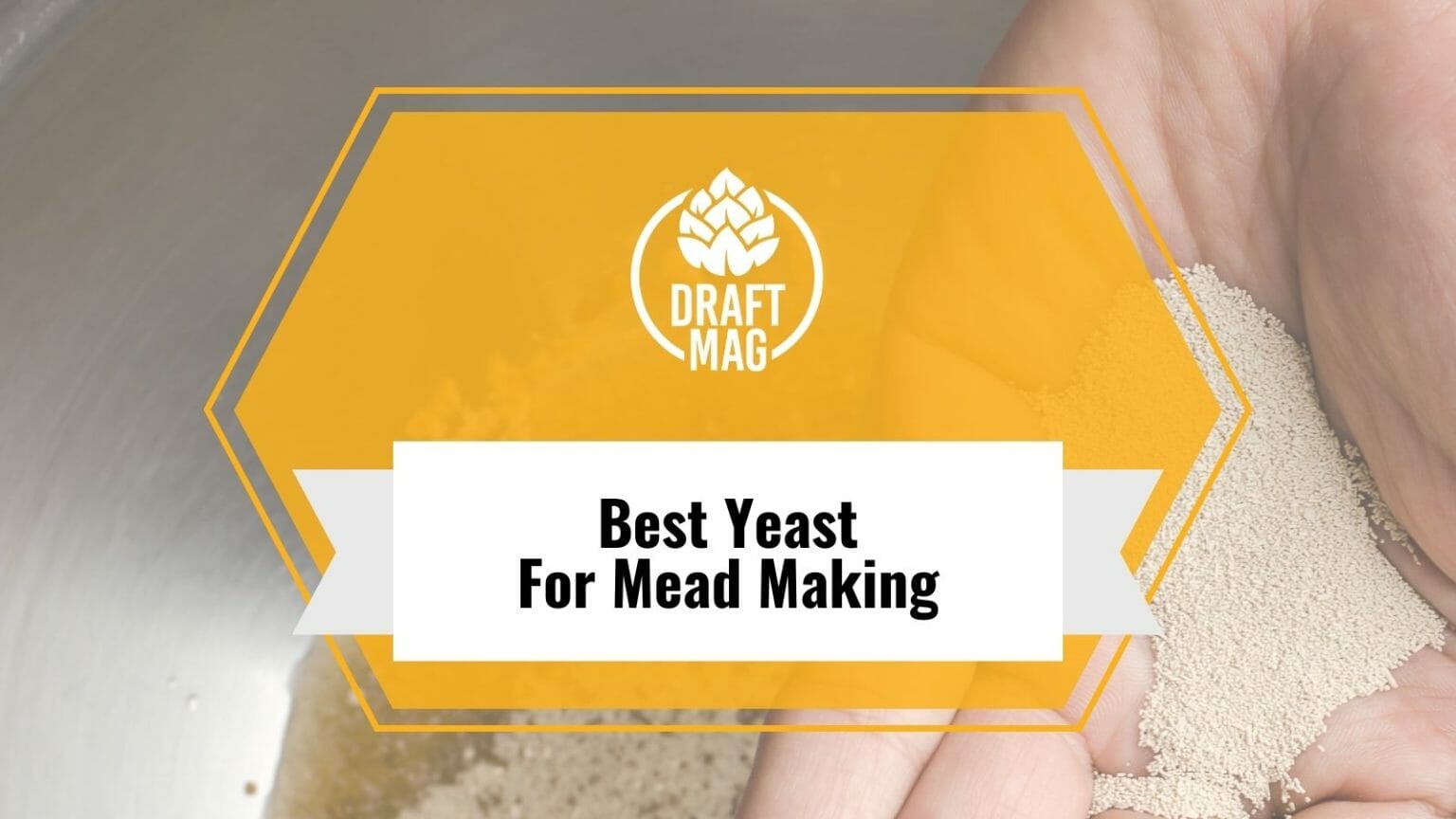 11 Best Yeast for Mead Making A Complete Guide for Brewers