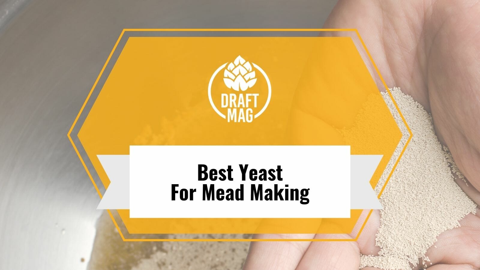 11 Best Yeast for Mead Making