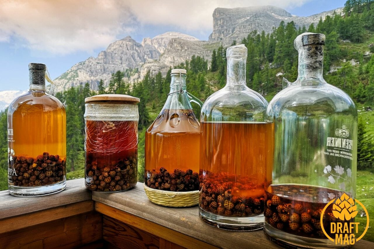 11 Best Yeast for Mead Making A Complete Guide for Brewers