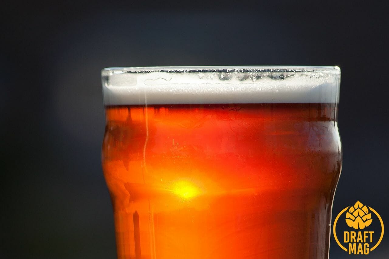 Lord Chesterfield Ale Review A Rock Solid Pale Ale for You