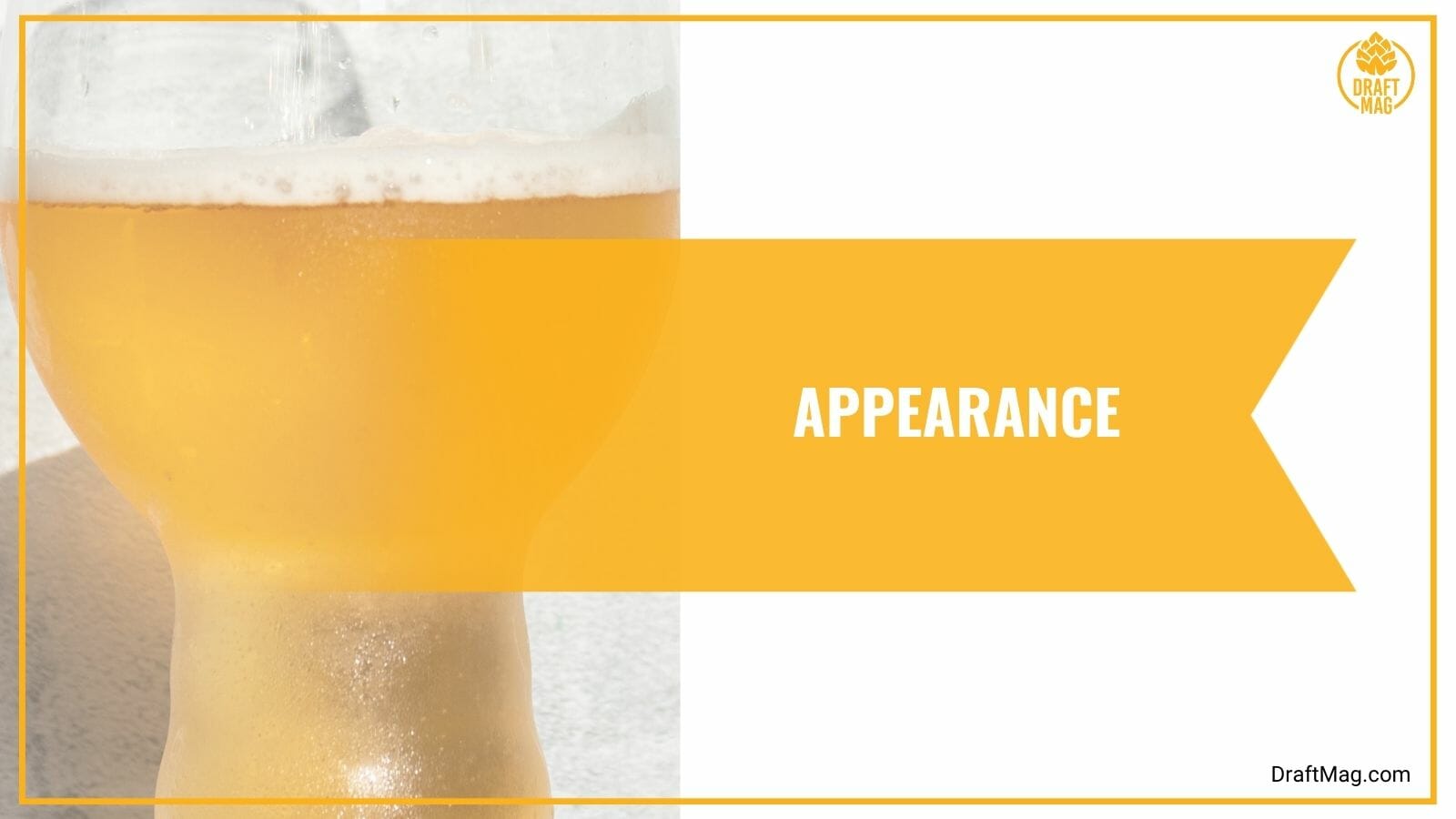 Appearance of Hazy Wonder IPA