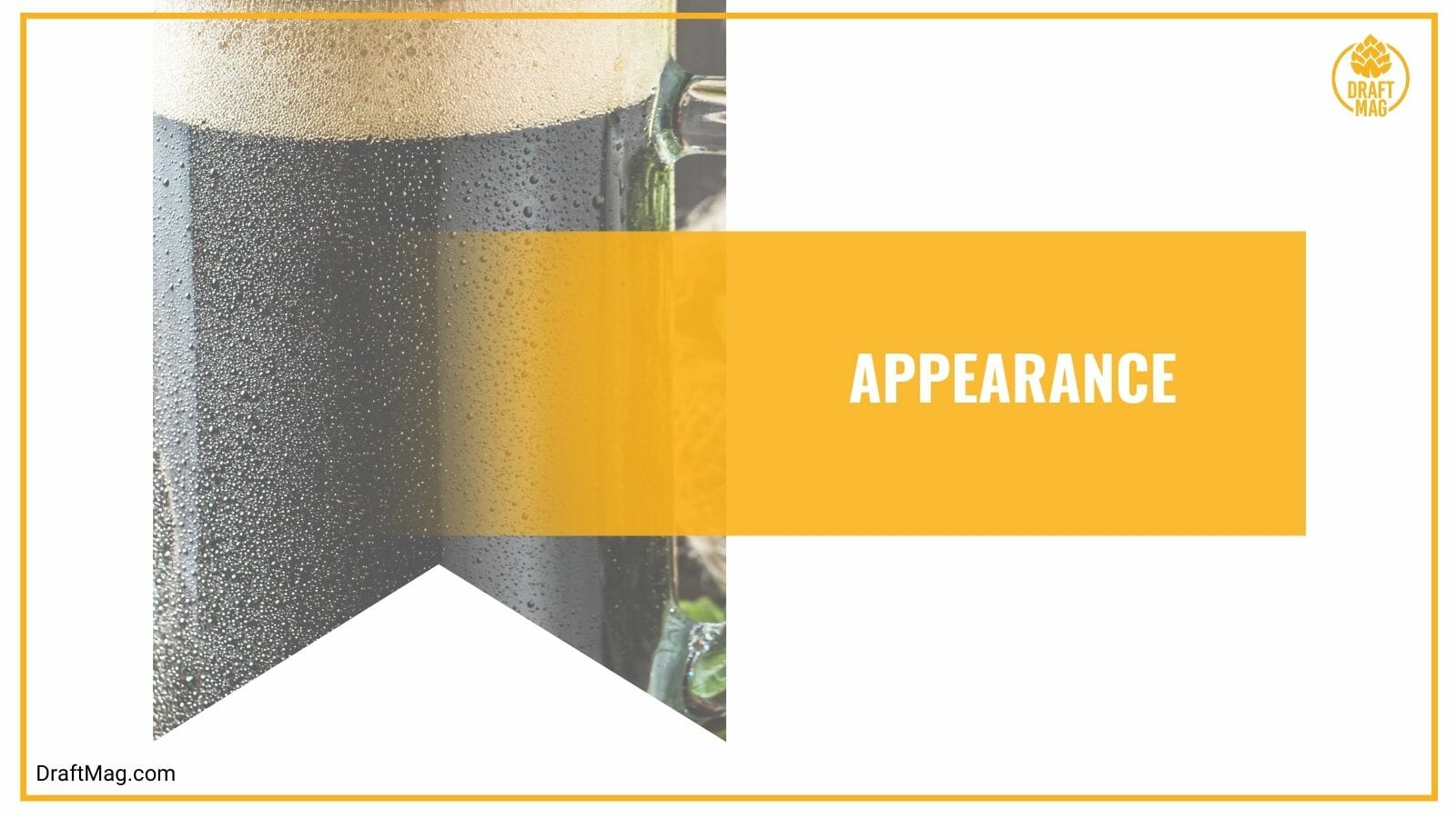 Appearance of Kyoto Matcha IPA