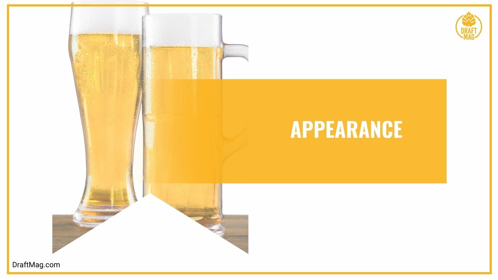 Appearance of Michelob Golden Light