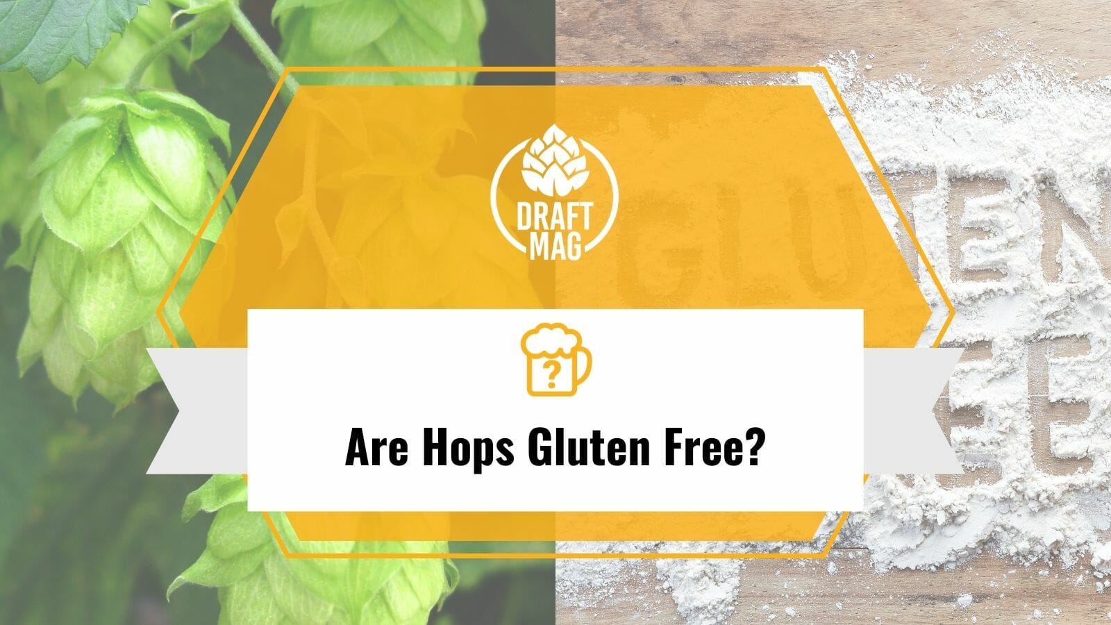 Are Hops Gluten Free