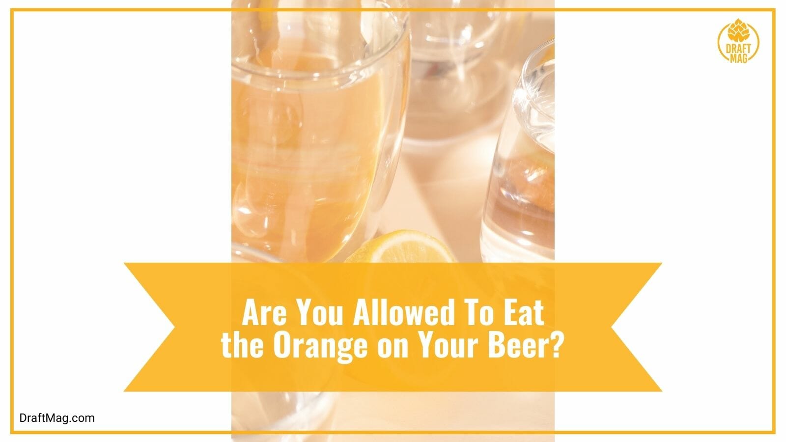 Are You Allowed To Eat the Orange on Your Beer