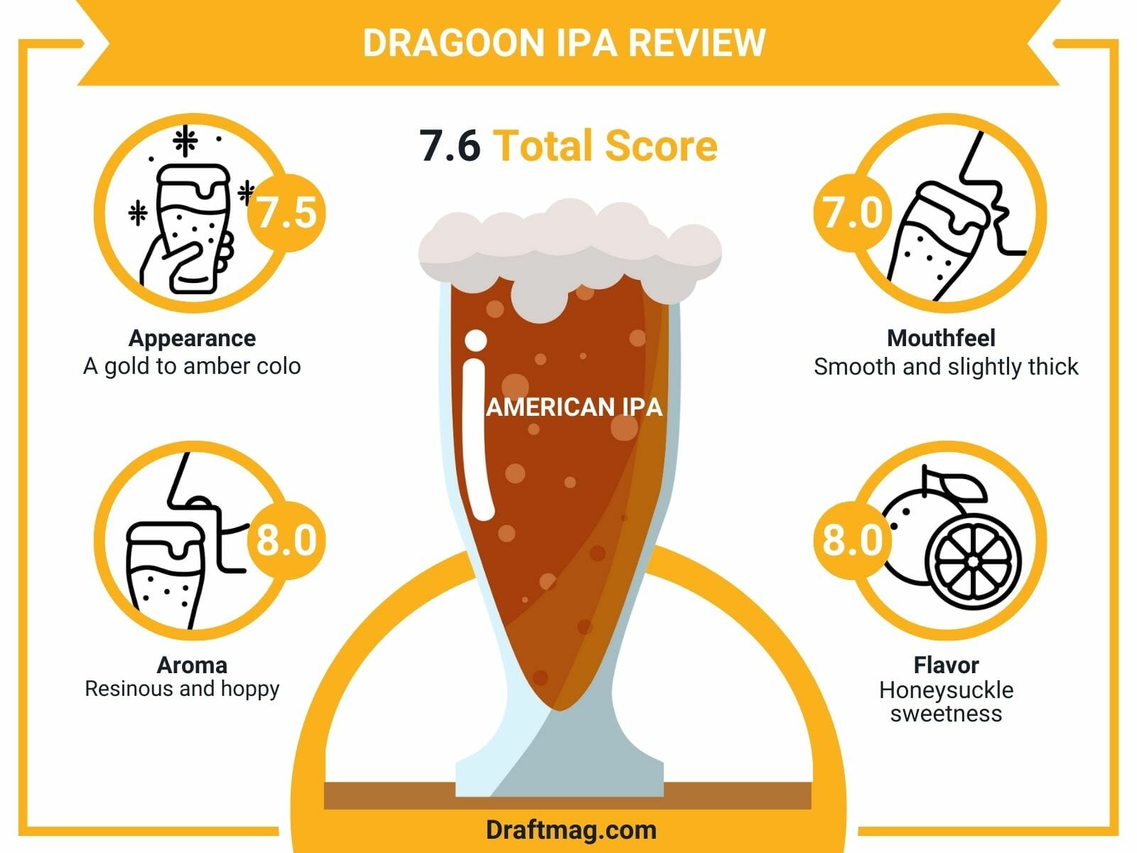 Dragoon IPA Review Infographic