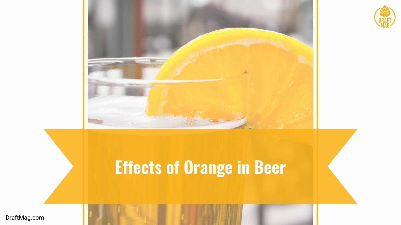 Effects of Orange in Beer