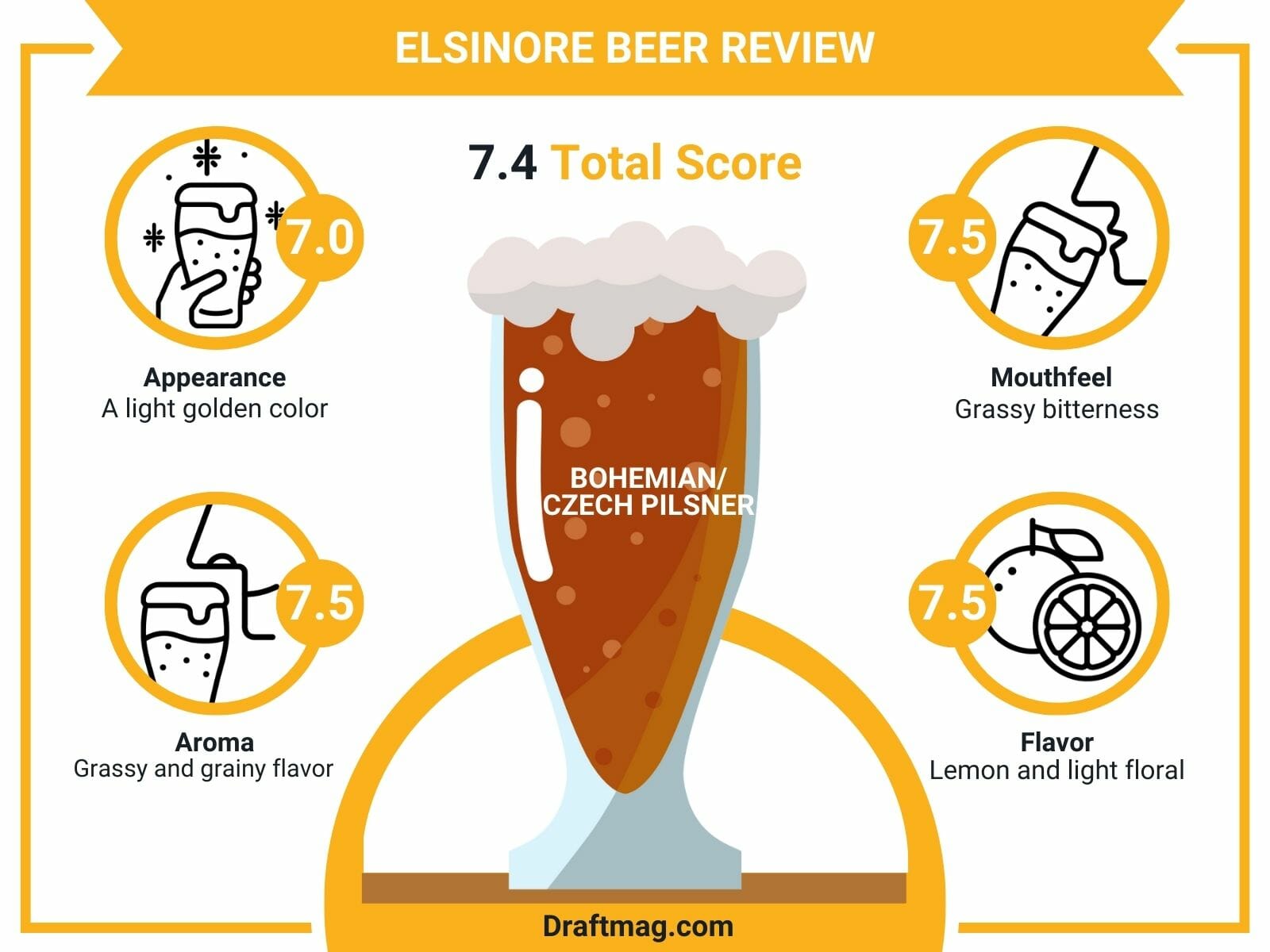 Elsinore Beer Review Infographic