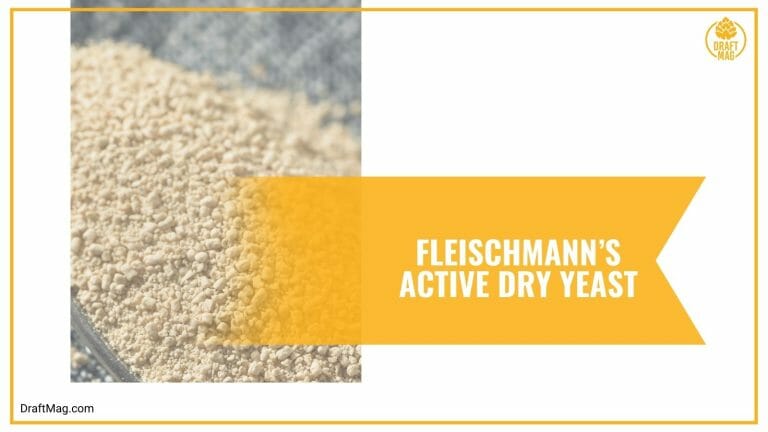 Choosing Best Yeast for Mead Choosing Best Yeast for Mead