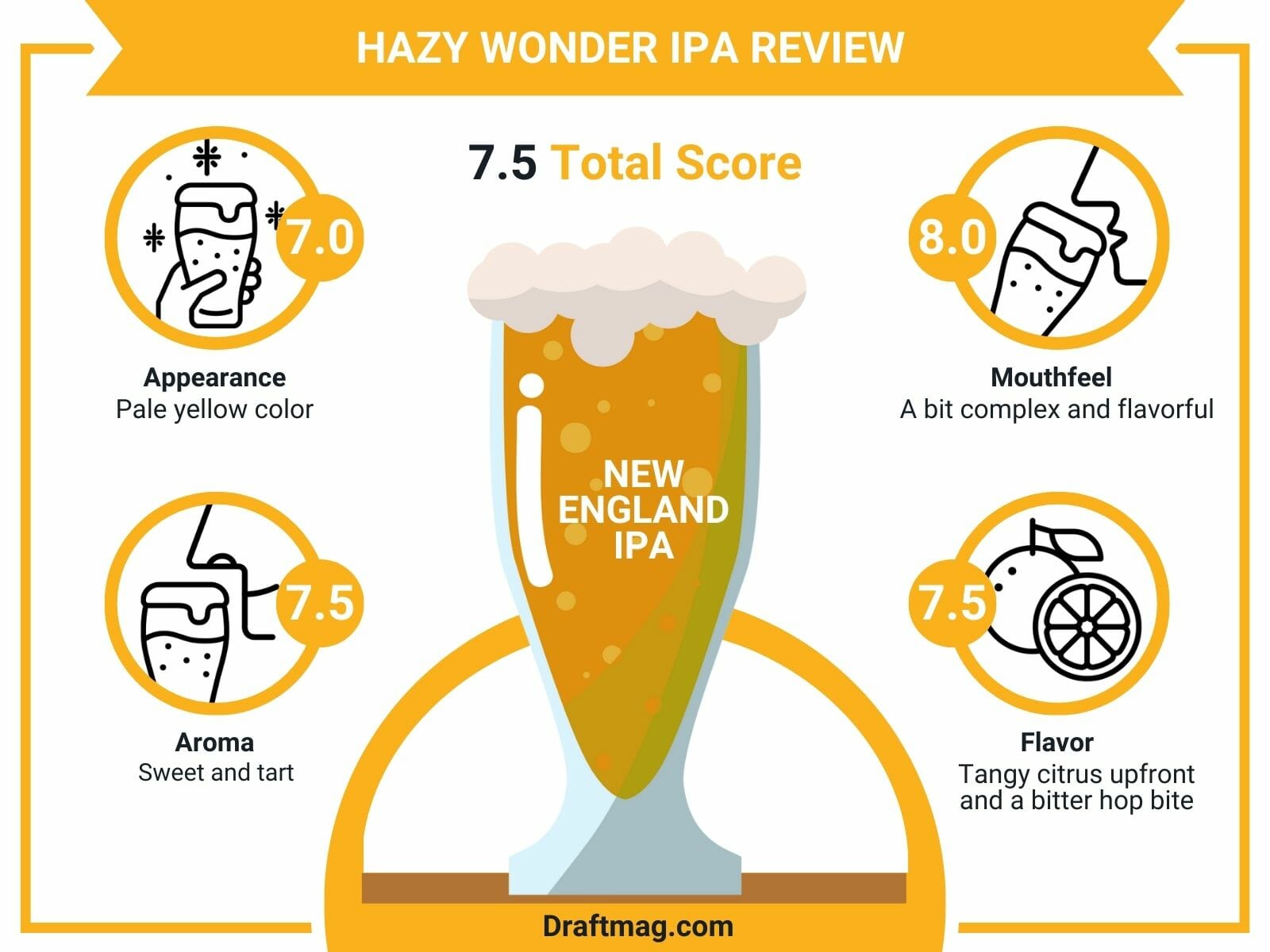 Hazy Wonder IPA Review Infographic