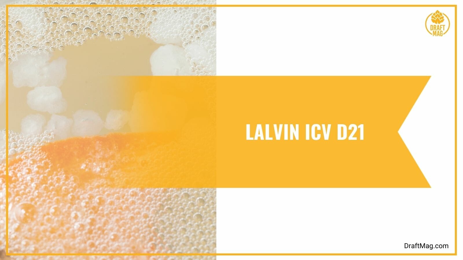 Lalvin ICV D21