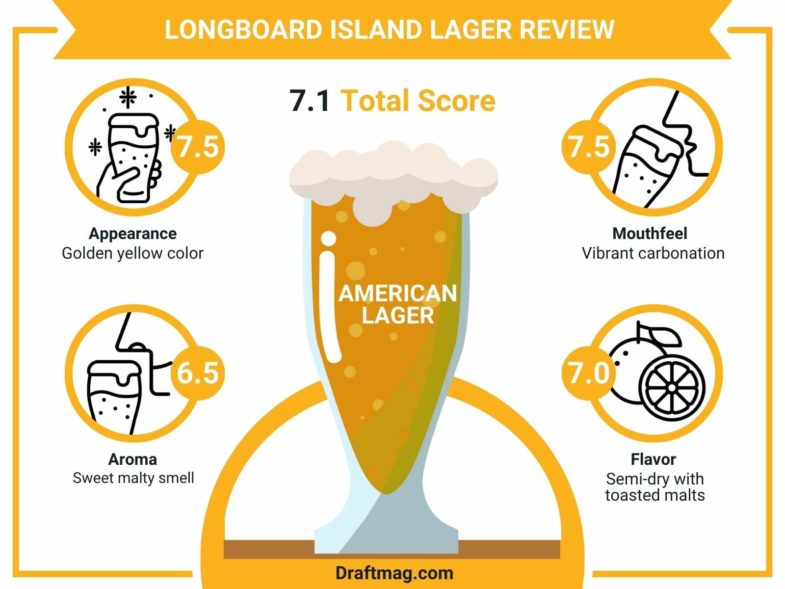 Longboard Island Lager Review Infographic