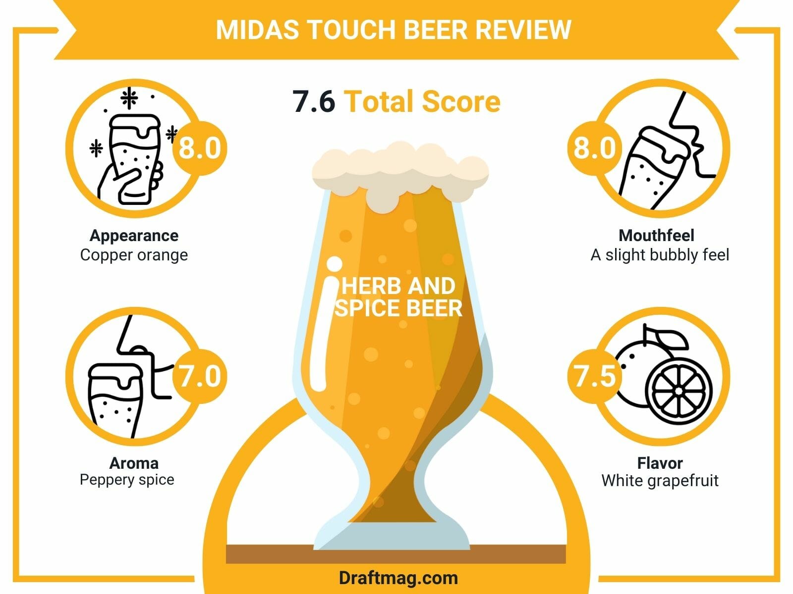 Midas Touch Beer Review Infographic