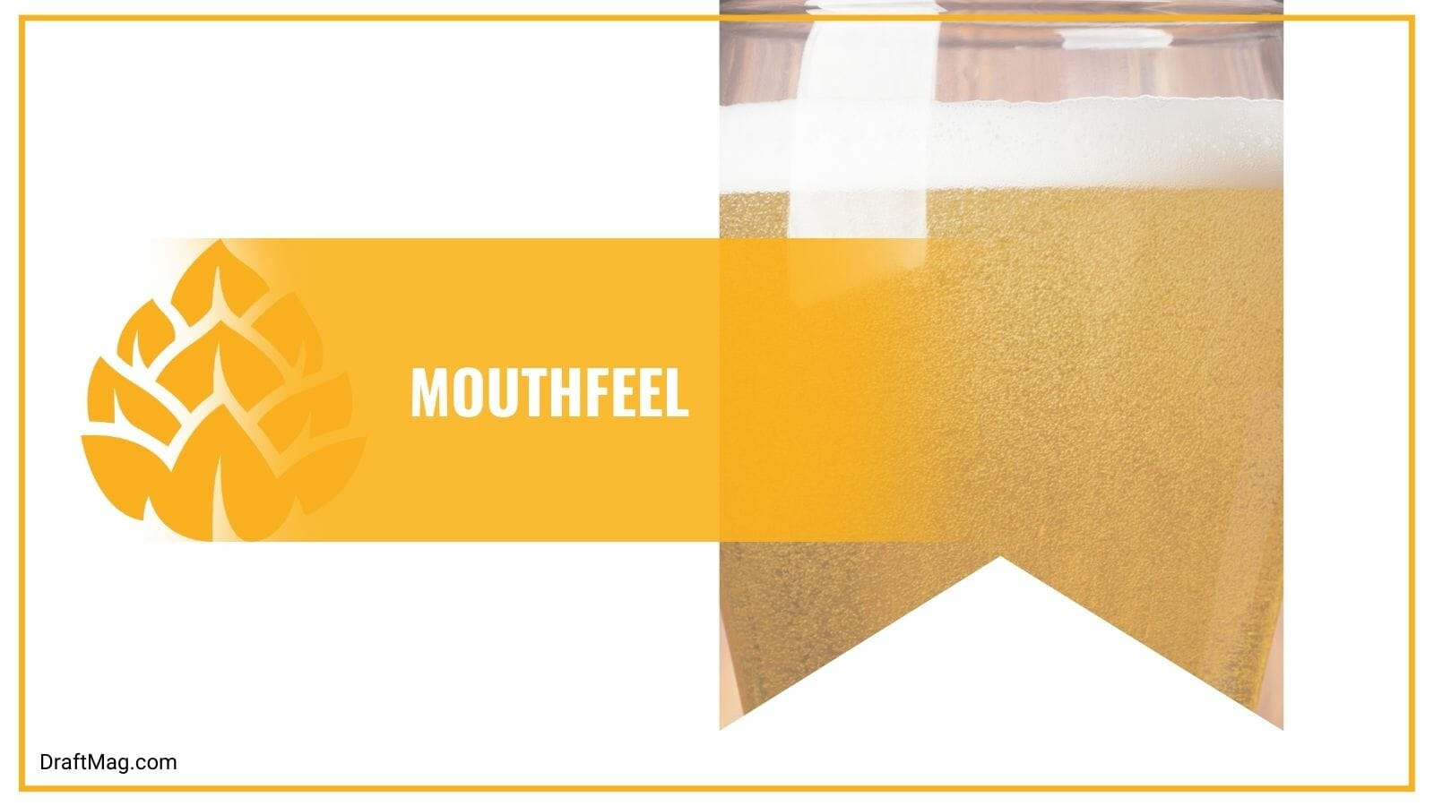 Mouthfeel of Sam Adams Holiday White Ale