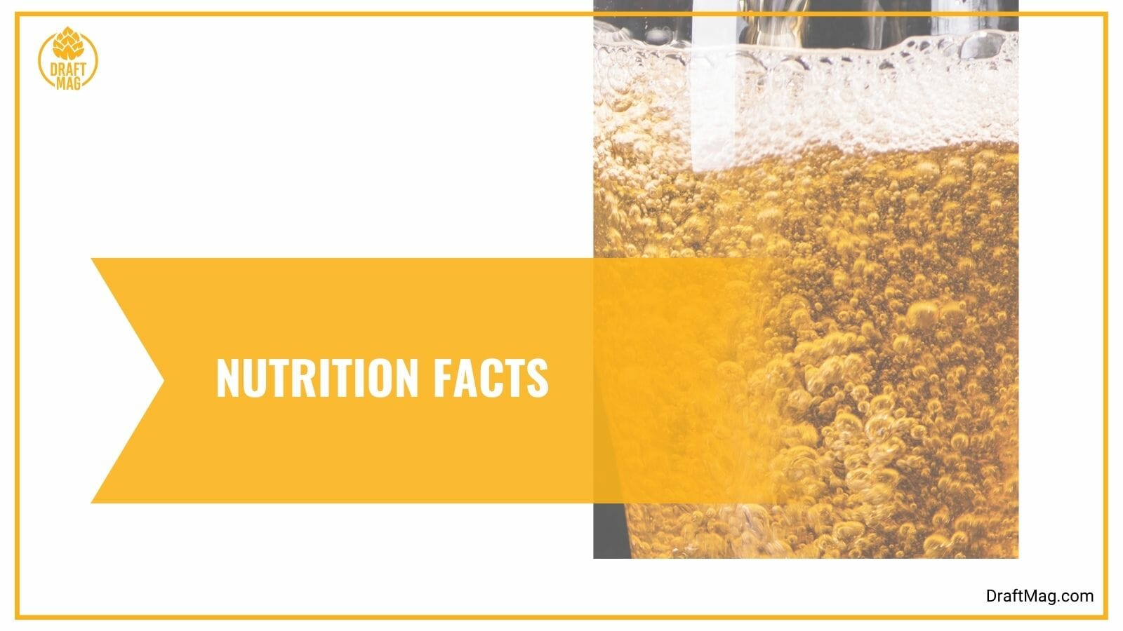 Nutrition Facts of Dirty Myrtle Beer