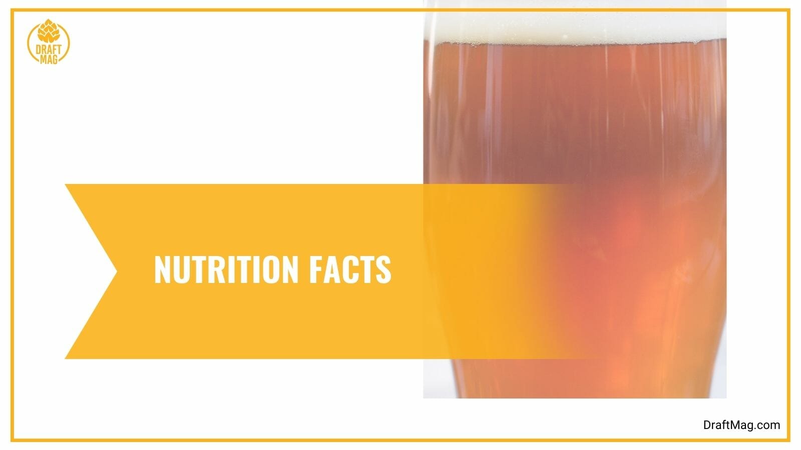 Nutrition Facts of Dragoon IPA
