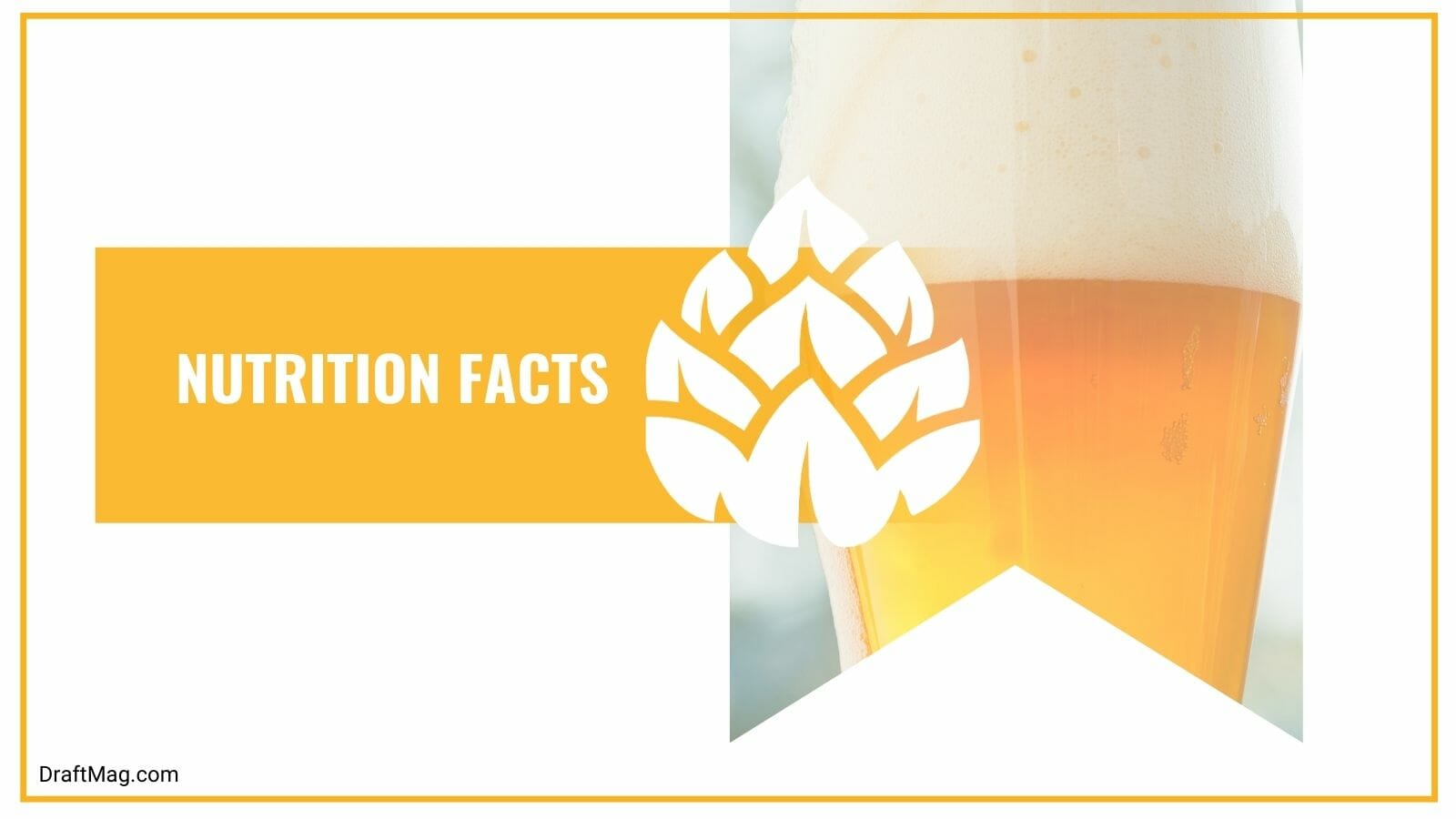 Nutrition Facts of Hofbrau Hefe Weizen