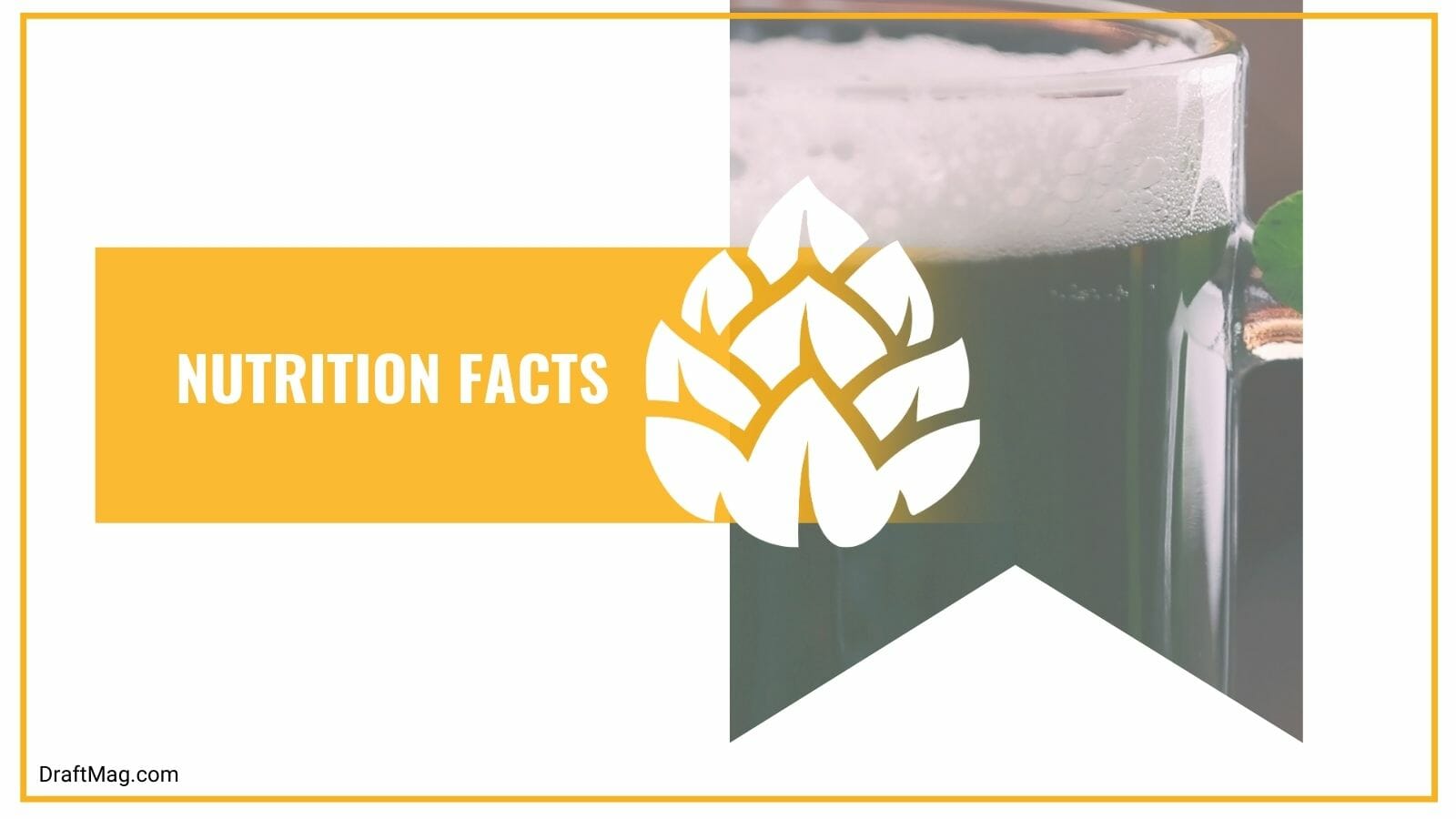 Nutrition Facts of Kyoto Matcha IPA