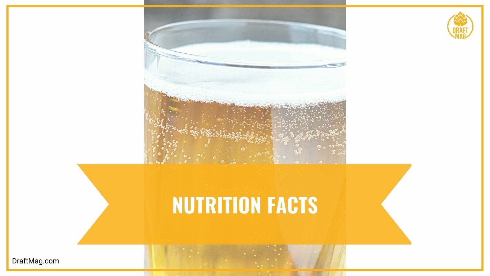 Nutrition Facts of Longboard Island Lager
