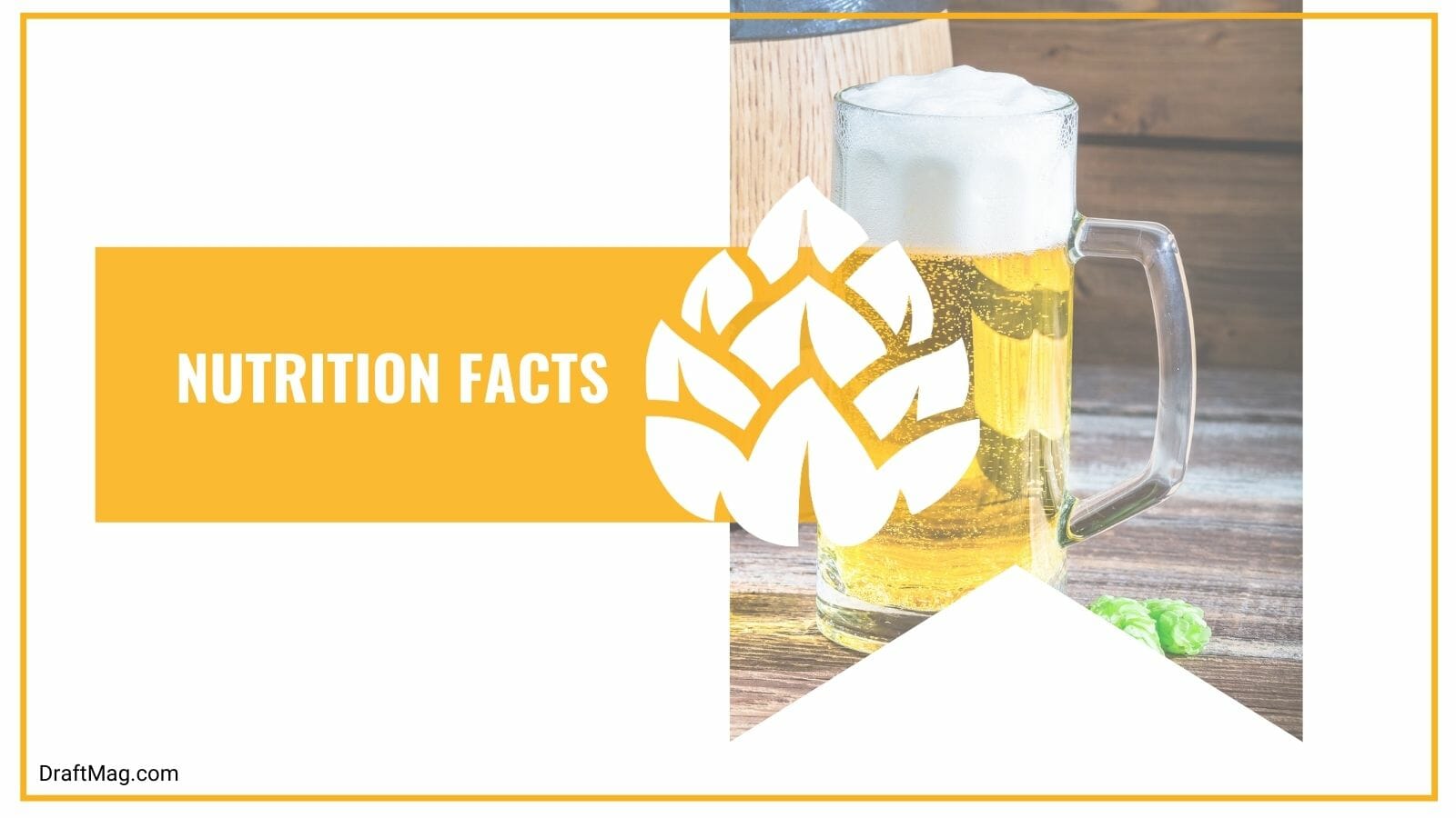 Nutrition Facts of Michelob Golden Light