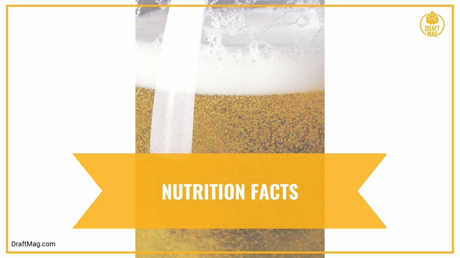 Nutrition Facts of Sam Adams Holiday White Ale