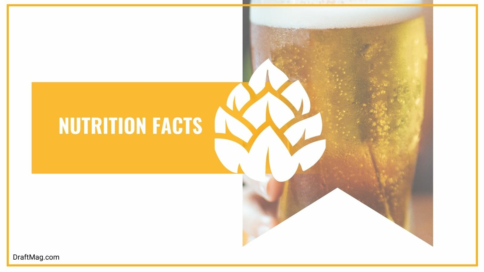 Nutrition Facts of Warka Beer