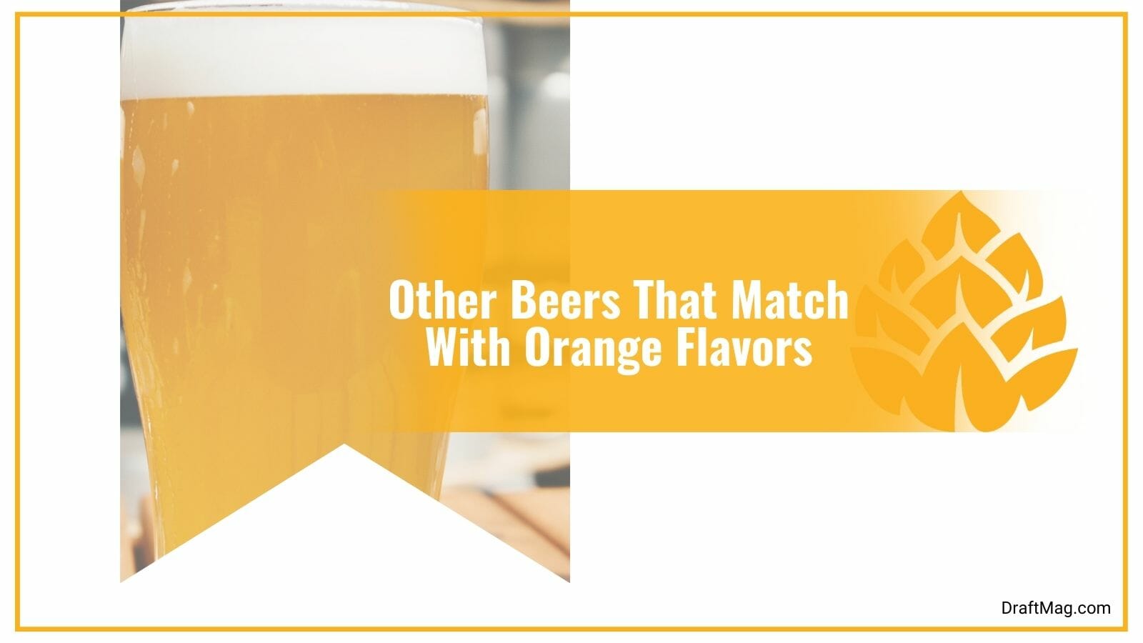 Other Beers That Match With Orange Flavors