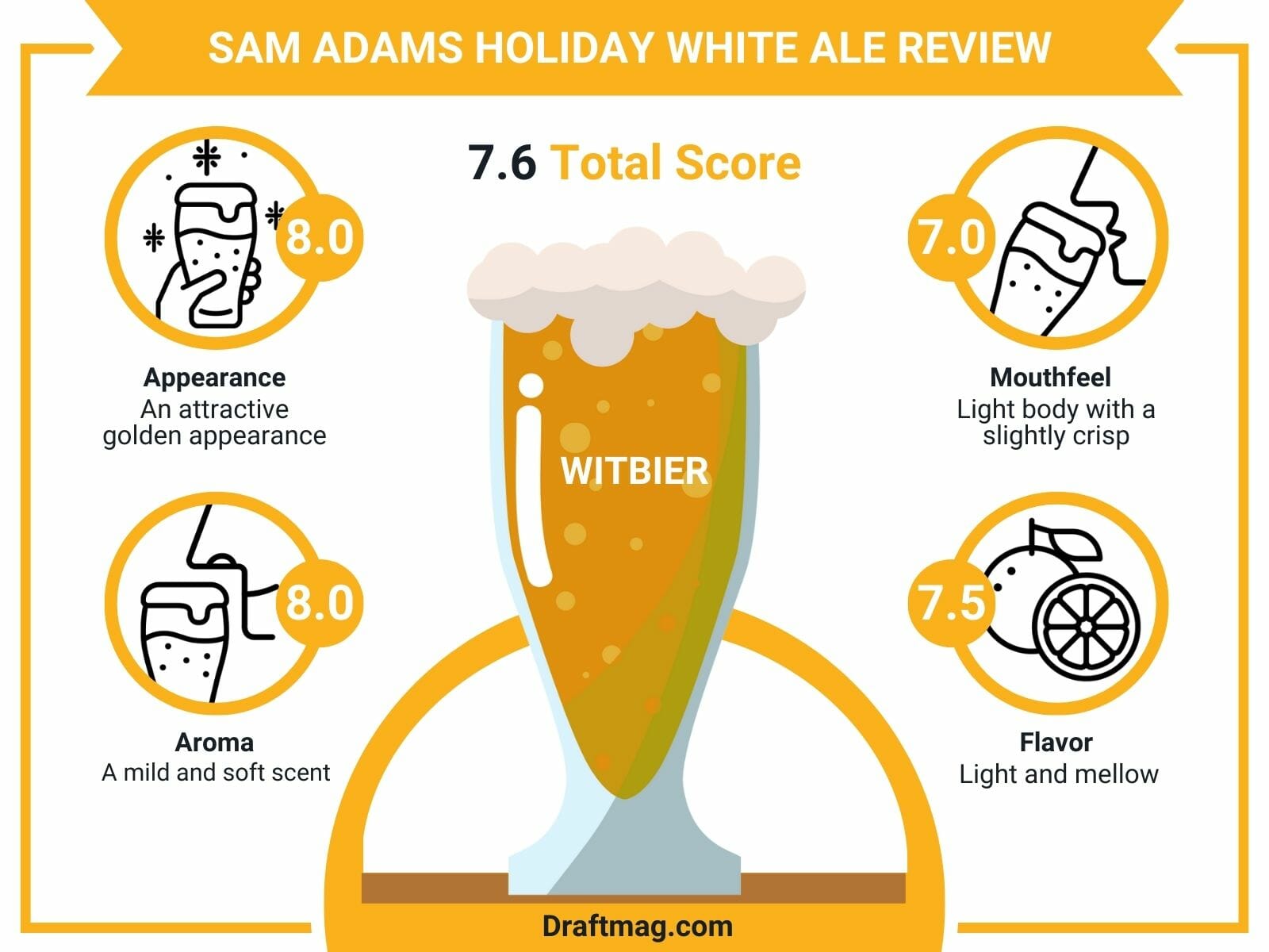 Sam Adams Holiday White Ale Review Infographic