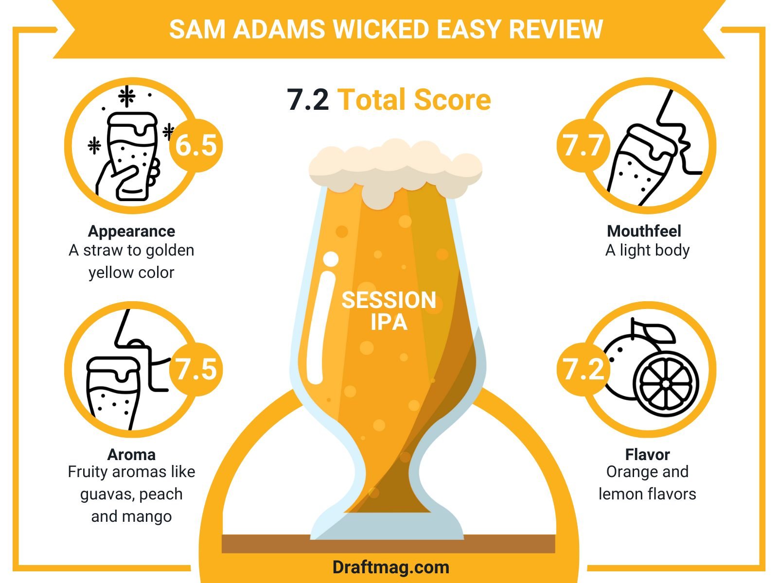 Sam Adams Review Infographic