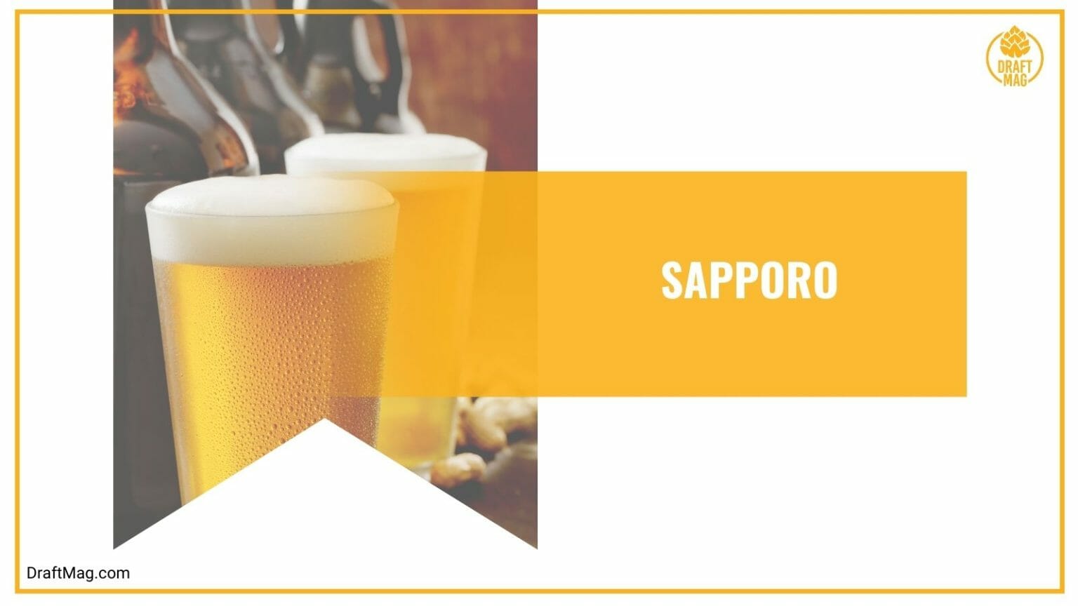 15 japanese beer brand must try choices for all beer lovers