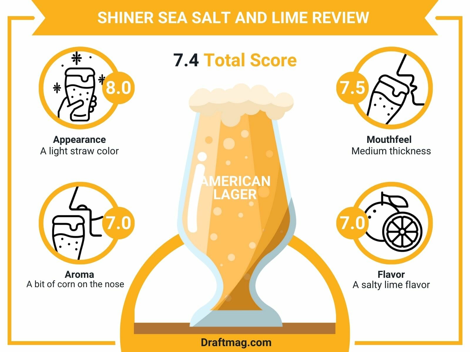 Shiner Sea Salt and Lime Review Infographic