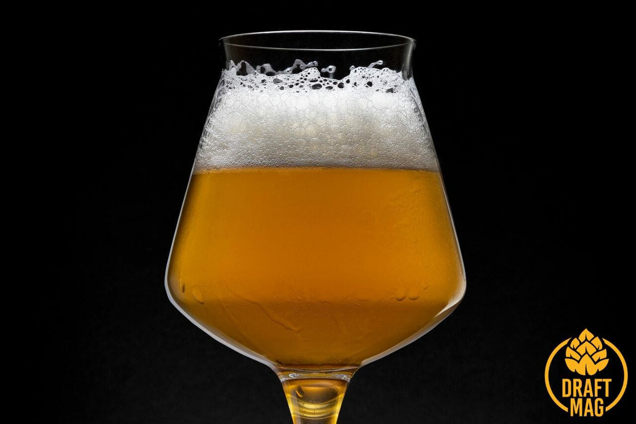 Hazy Wonder IPA Review Traditional NEIPA for Hop Lovers