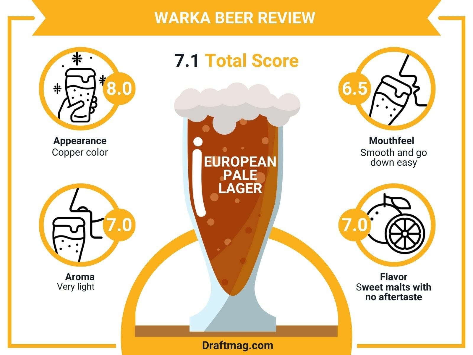 Warka Beer Review Infographic