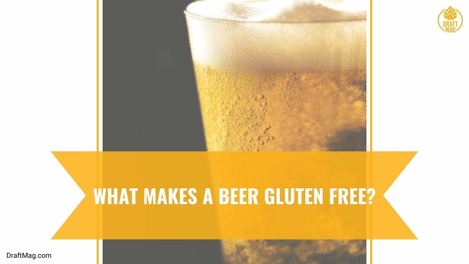 What Makes a Beer Gluten Free