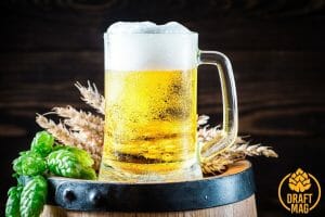 Can Non Alcoholic Beer Get You Drunk: All the Answers
