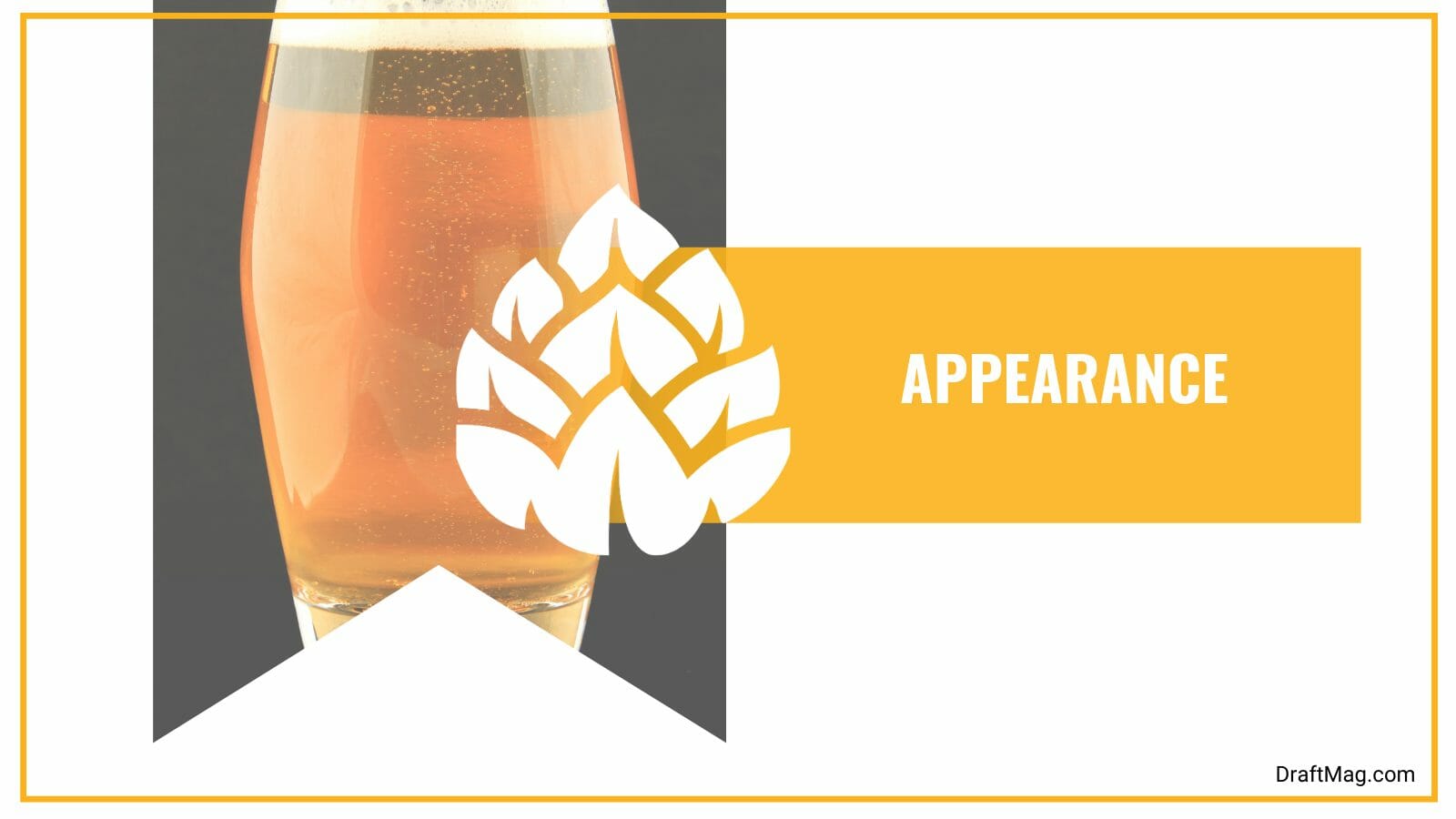 Appearance of Gold Cliff IPA