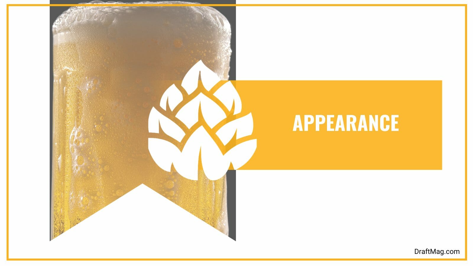 Appearance of Hoppyum IPA 