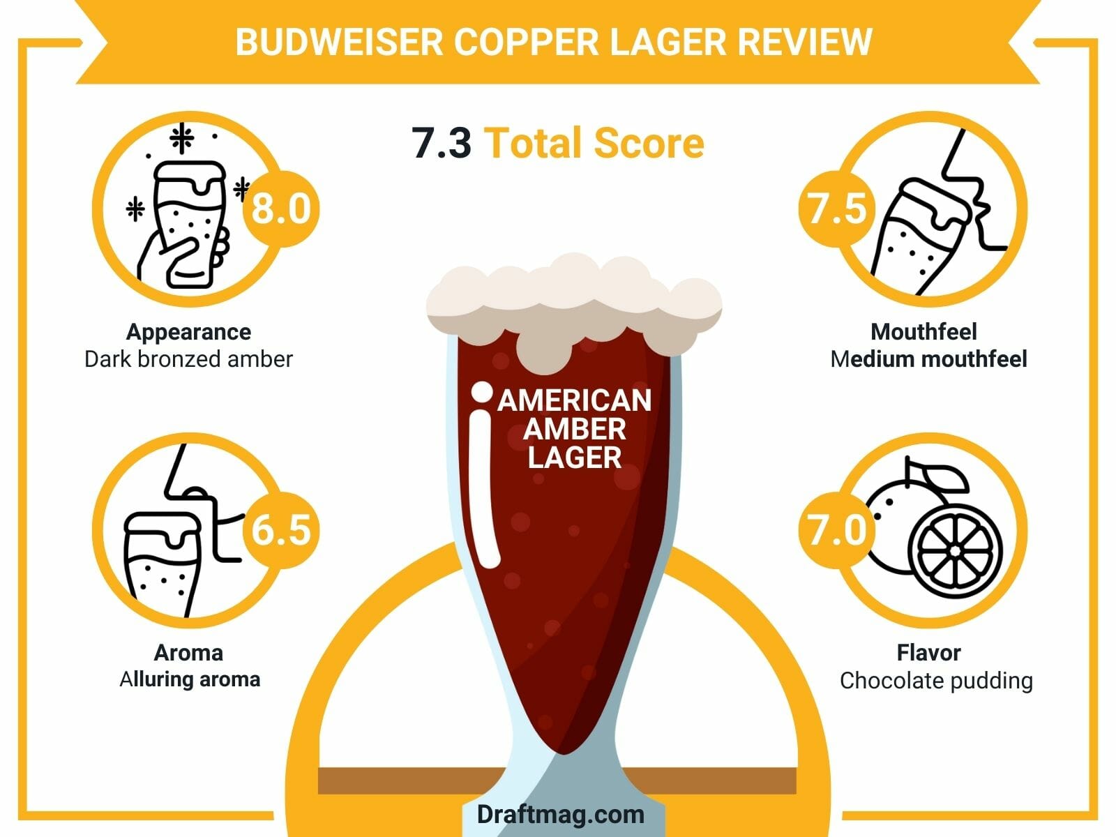 Budweiser Copper Lager Review Infographic