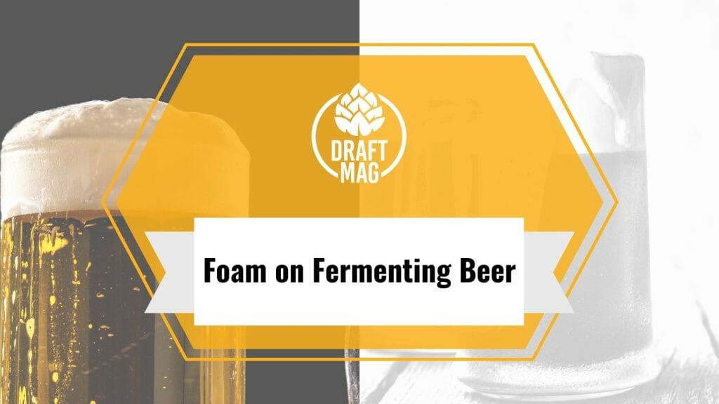 Foam on Fermenting Beer Causes and How To Deal With It